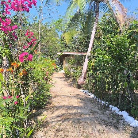 Casa Paraiso Manzanillo  Εξωτερικό φωτογραφία