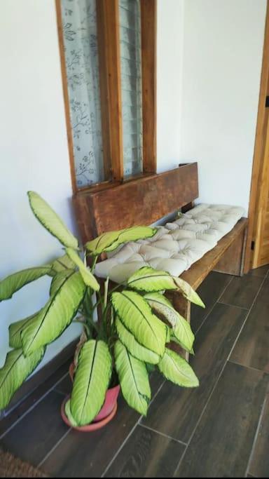 Casa Paraiso Manzanillo  Εξωτερικό φωτογραφία