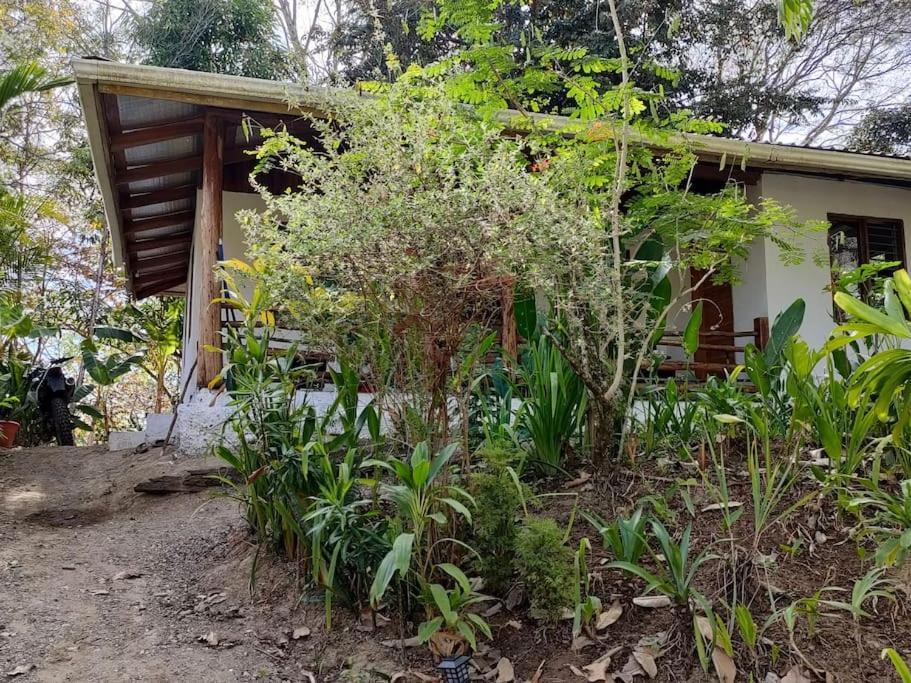 Casa Paraiso Manzanillo  Εξωτερικό φωτογραφία