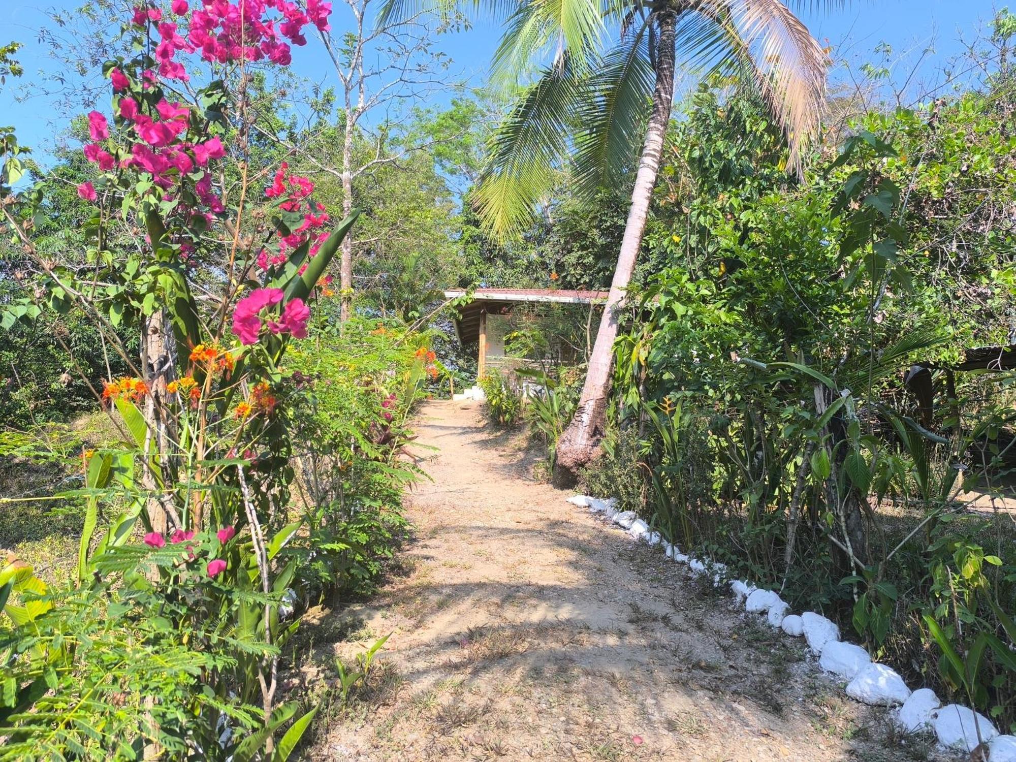 Casa Paraiso Manzanillo  Εξωτερικό φωτογραφία
